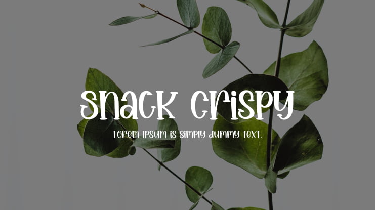 Snack Crispy Font