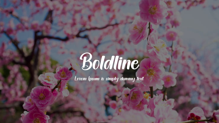 Boldline Font