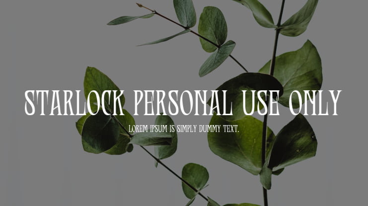 Starlock Personal Use Only Font