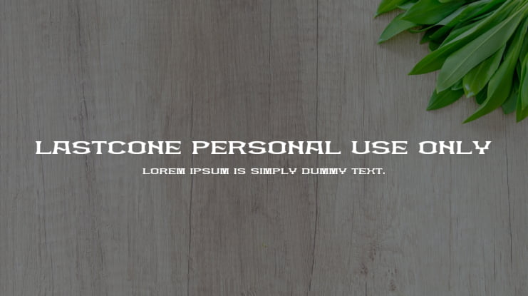 Lastcone Personal Use Only Font