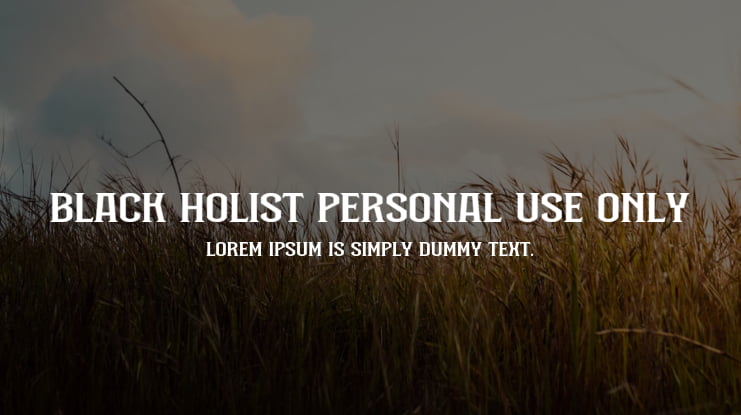 Black Holist Personal Use Only Font