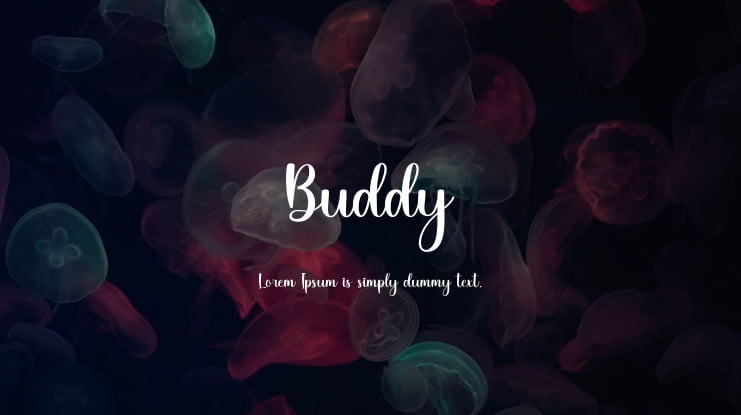 Buddy Font