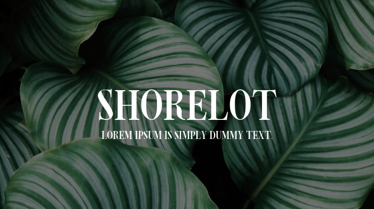 Shorelot Font Family