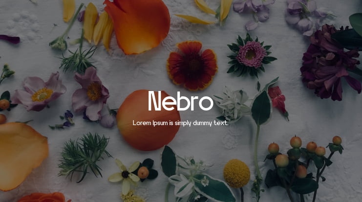 Nebro Font