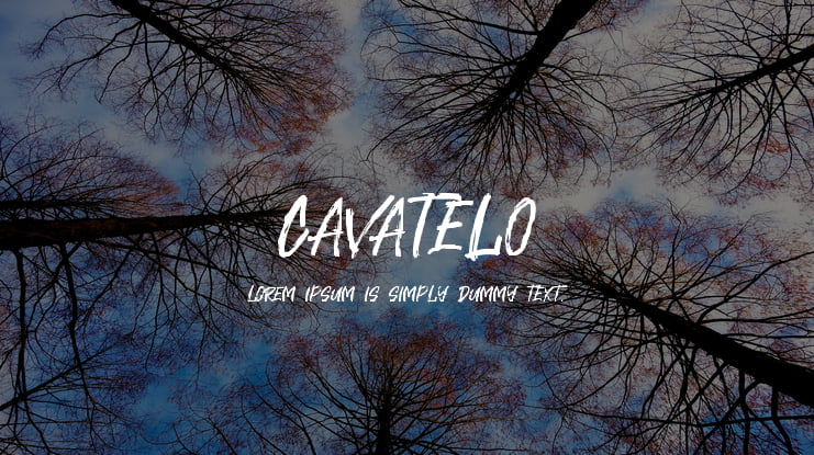 Cavatelo Font