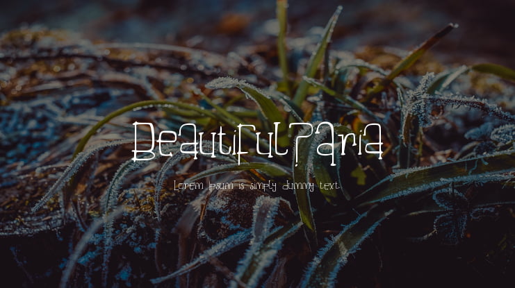 Beautiful_Aria Font