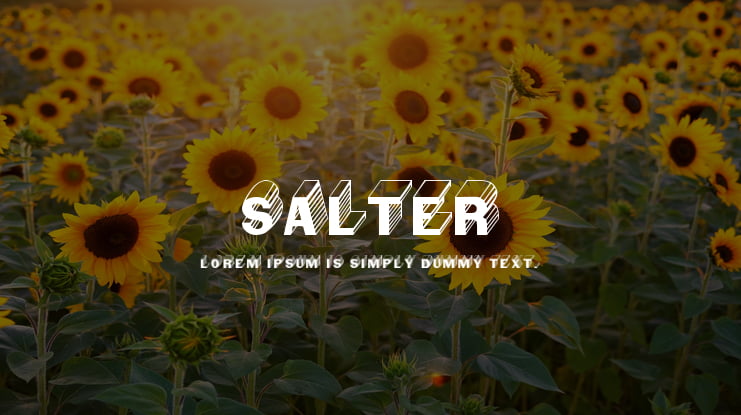 Salter Font