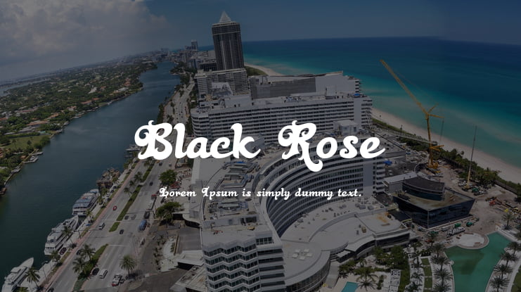 Black Rose Font