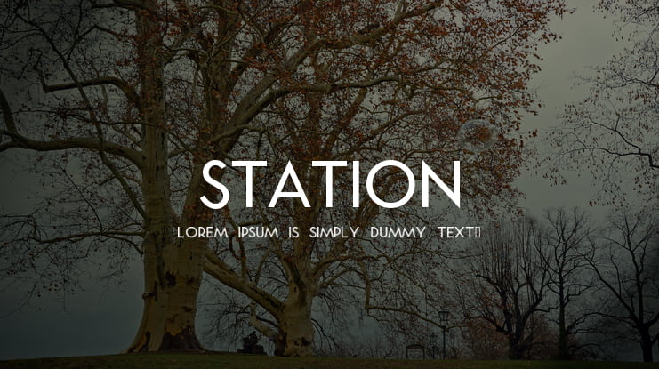 Station Font : Download Free for Desktop & Webfont