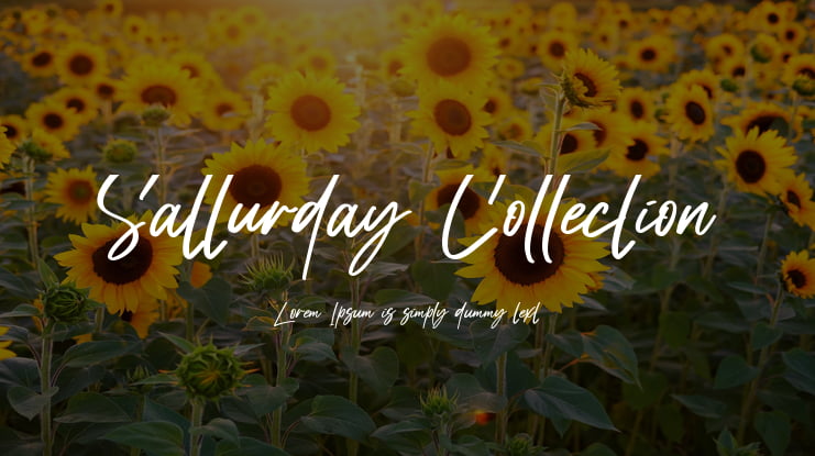 Satturday Collection Font