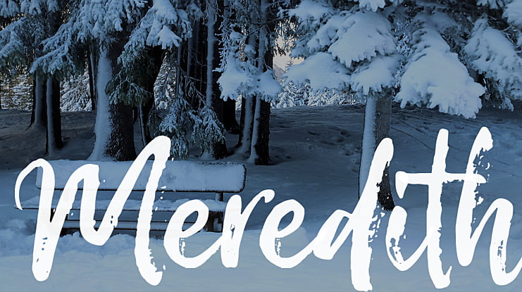 Meredith Font