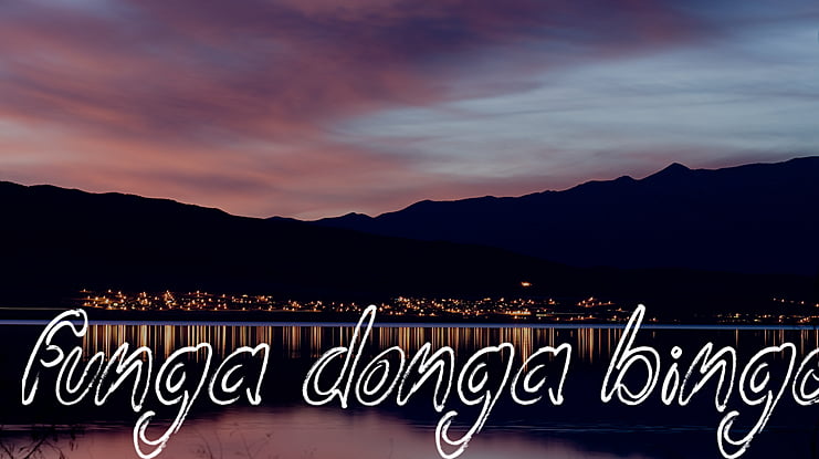 Funga Donga Binge Font