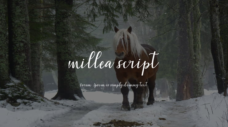 Ratilla Script Font, Webfont & Desktop