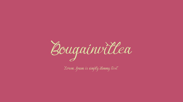 Bougainvillea Font