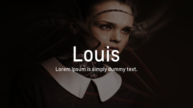 Louis Font, Webfont & Desktop