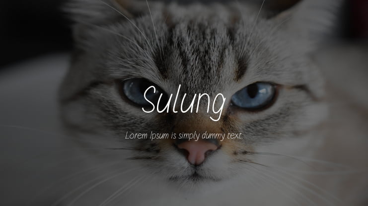 Sulung Font