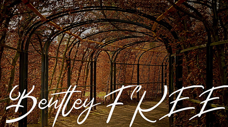 Bentley FREE Font