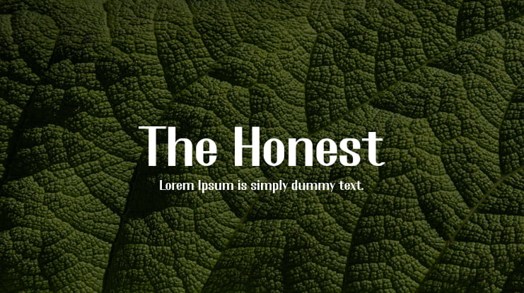 The Honest Font Family