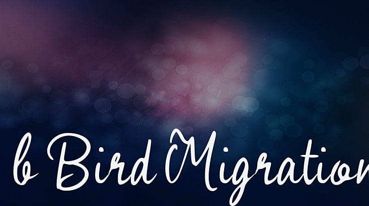 b Bird Migration Font