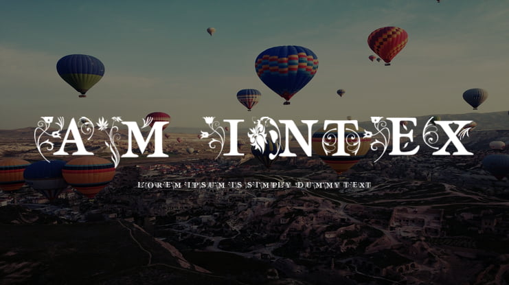 am_intex Font