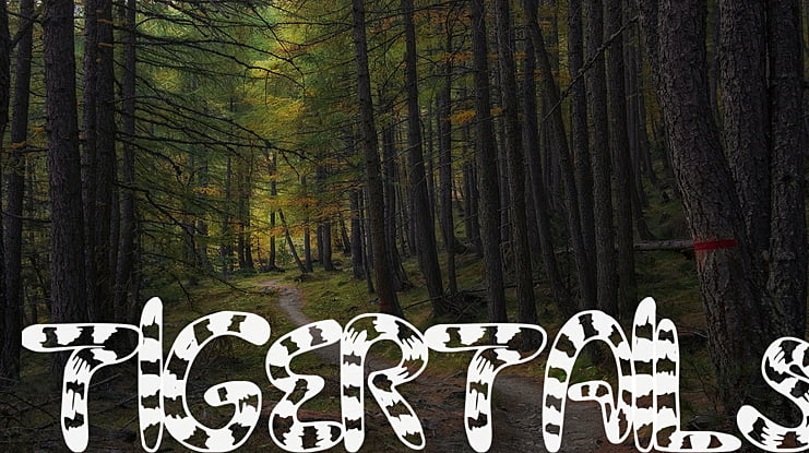 TigerTails Font