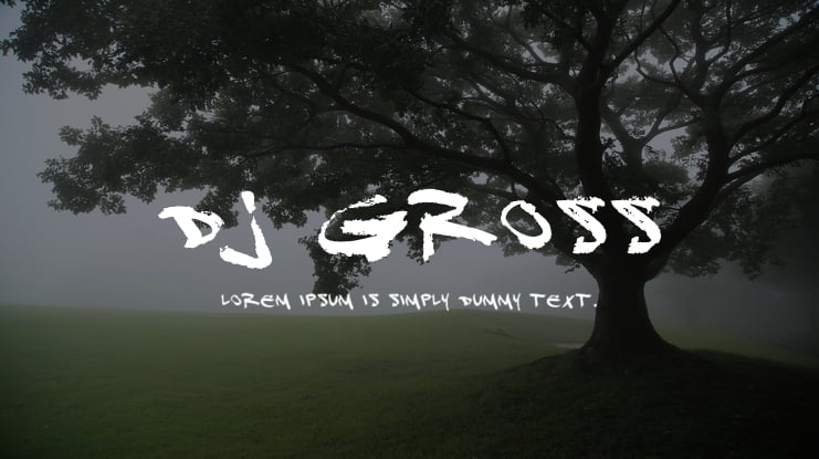 DJ Gross Font