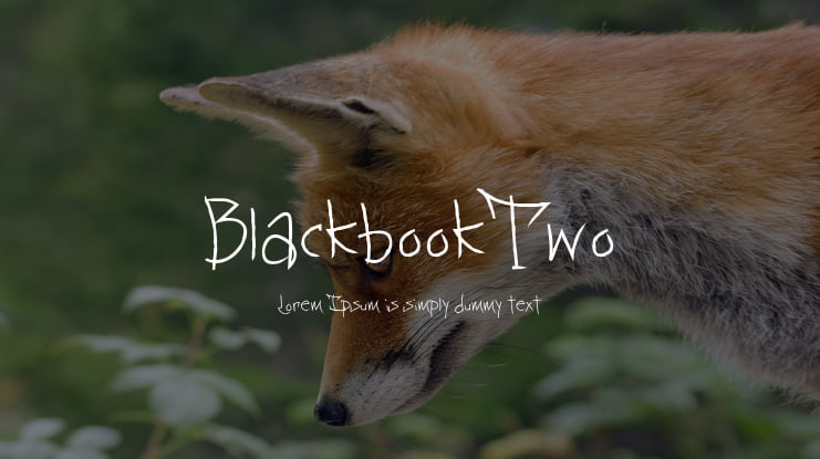 BlackbookTwo Font