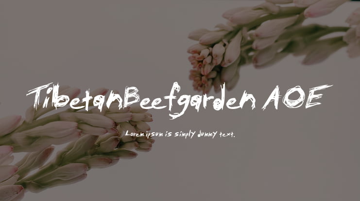 TibetanBeefgarden AOE Font