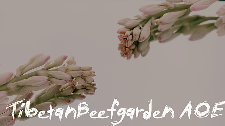 TibetanBeefgarden AOE Font