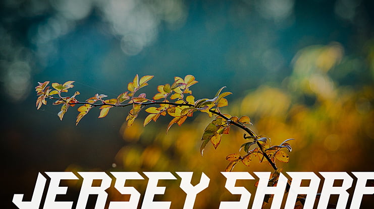 Jersey Sharp Font Download