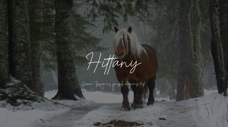 Hittany Font