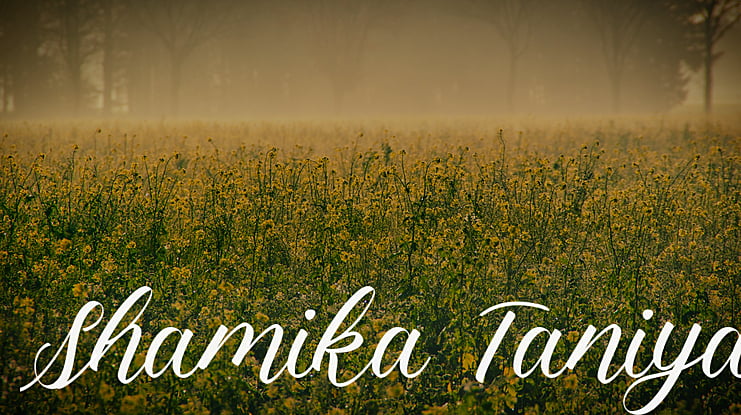 Shamika Taniya Font