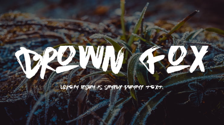 Brown Fox Font