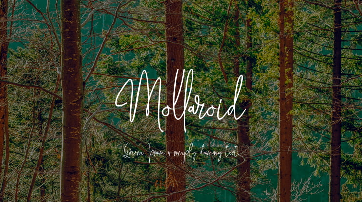 Mollaroid Font