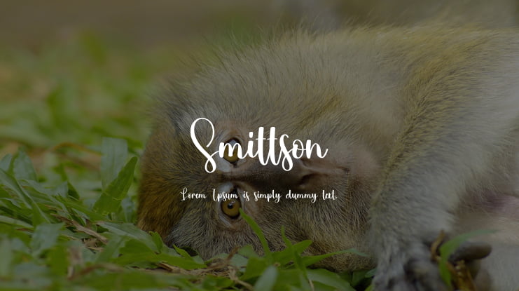 Smittson Font