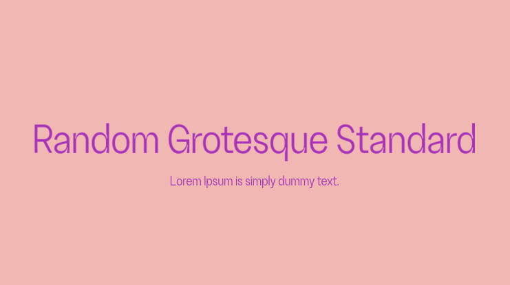 Random Grotesque Standard Font Family