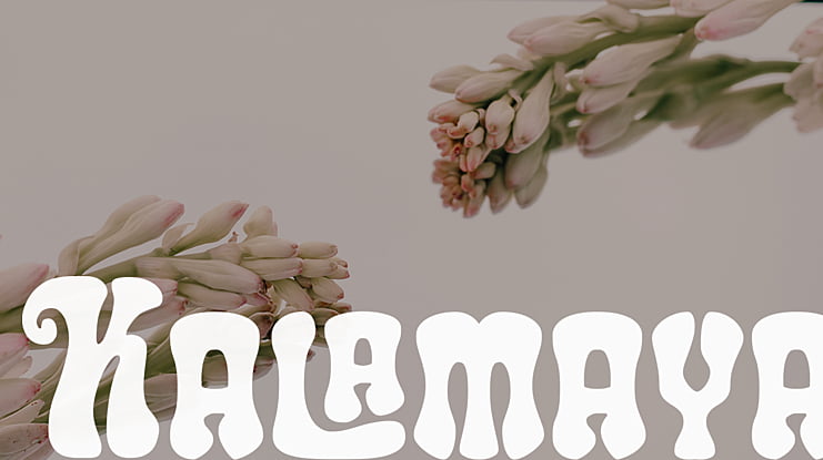 Kalamaya Font