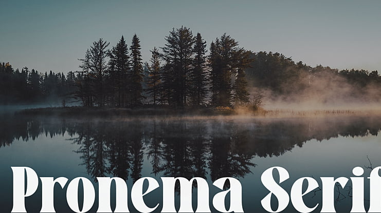 Pronema Serif Font