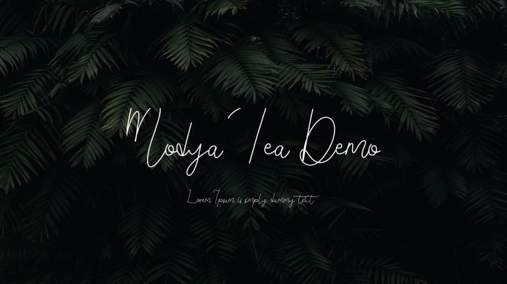 Modya Tea Demo Font