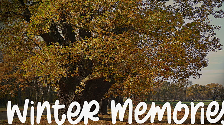 Winter Memories Font