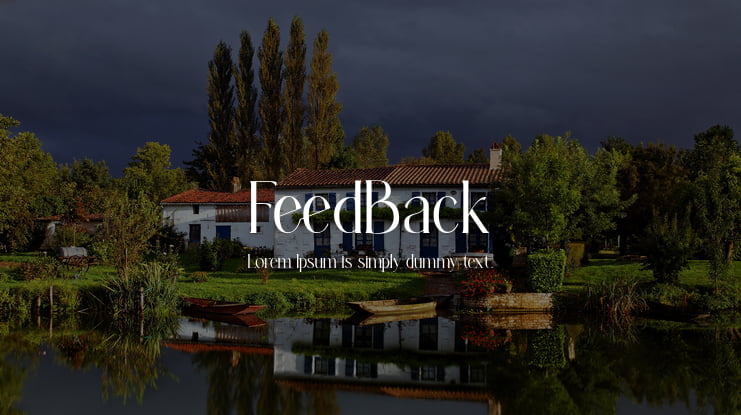 FeedBack Font