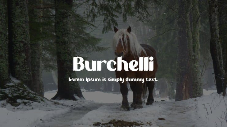 Burchelli Font