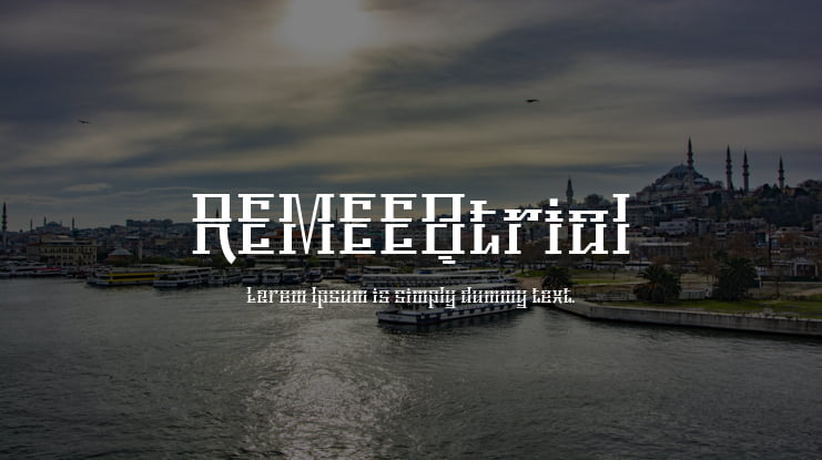 REMEEQtrial Font