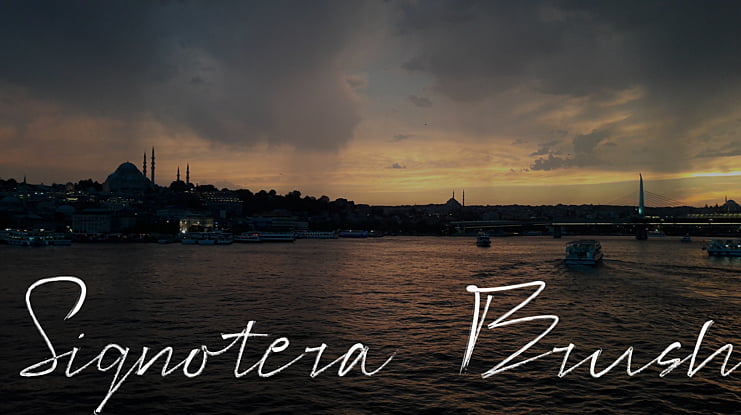 Signotera Brush Font