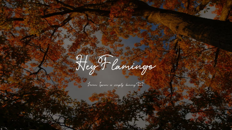 HeyFlamingo Font