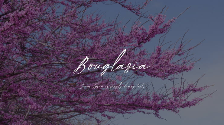 Bouglasia Font