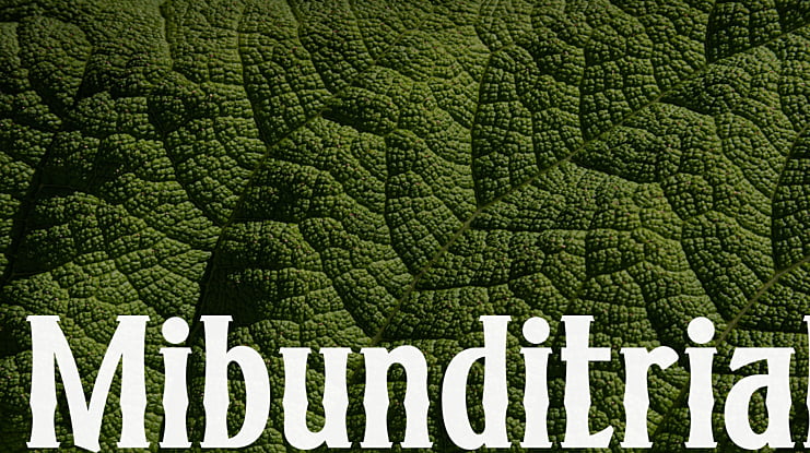 Mibunditrial Font