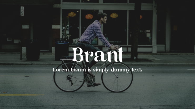 Brant Font
