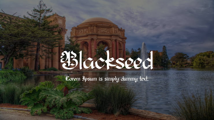 Blackseed Font